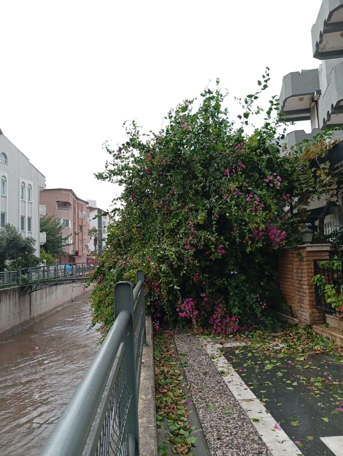Marmaris’te Fırtına ve Sağanak Yaşamı Olumsuz Etkiledi 2